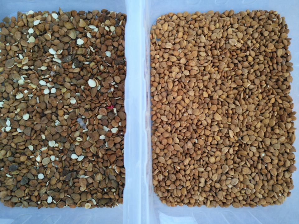 Wenyao Nut Processing Equipment Color Sorter With CCD Camera LED Light