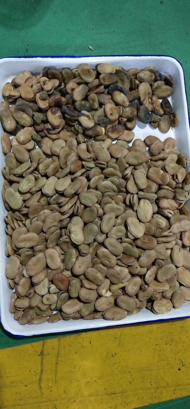 WENYAO 5 Chutes Broad Bean Color Sorter  for Industrial