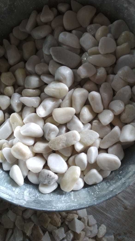 1200MM Belt Color Sorter Machine for Ore Grain Rice with 99.99% Accuracy
