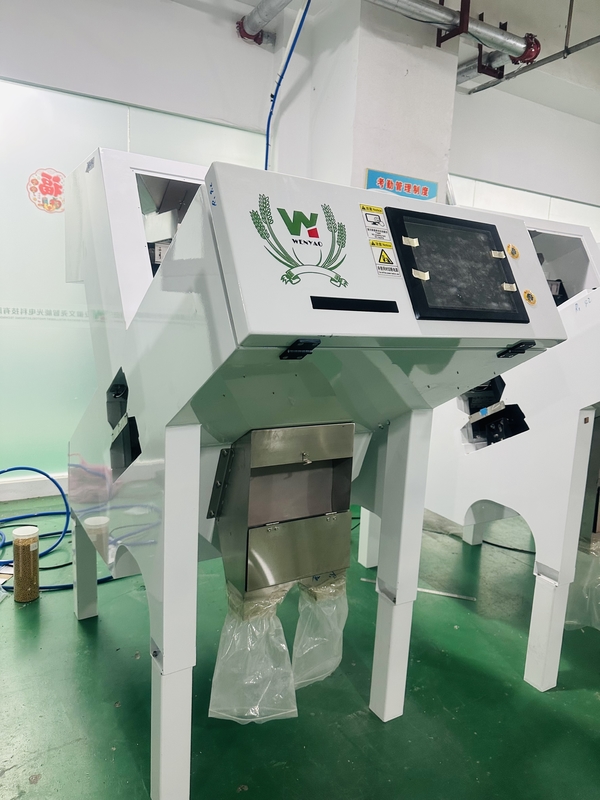 Wenyao Automatic Black Pepper Color Sorting Machine for High Precision Seeds Beans Sorting