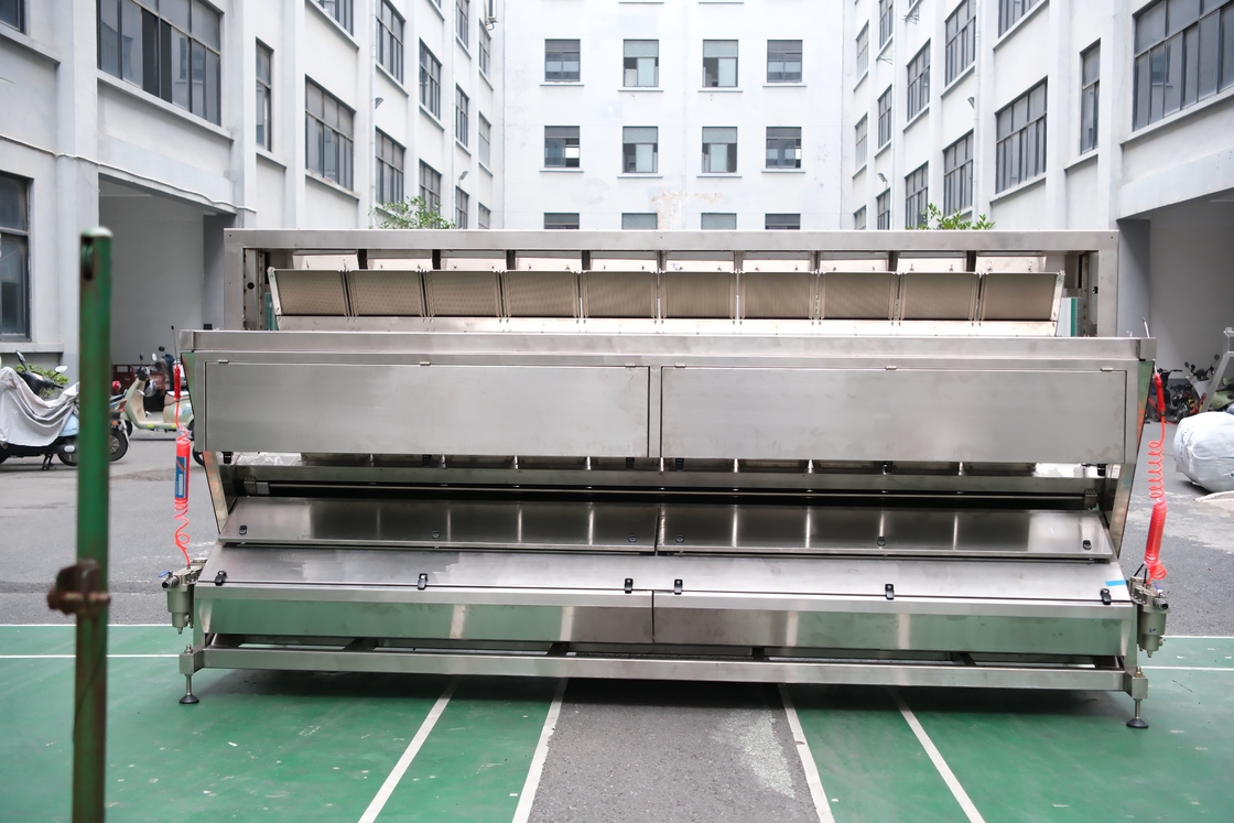 WENYAO 2025 New Product Launch 304/316L  High Accuracy CCD Rock Salt Particles Color Sorter