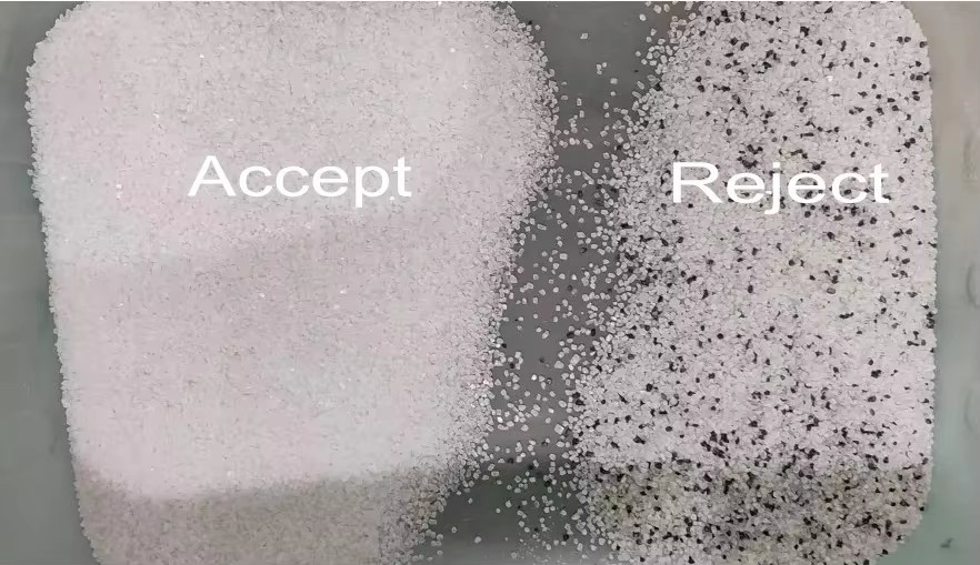 WENYAO 2025 New Product Launch 304/316L  High Accuracy CCD Rock Salt Particles Color Sorter