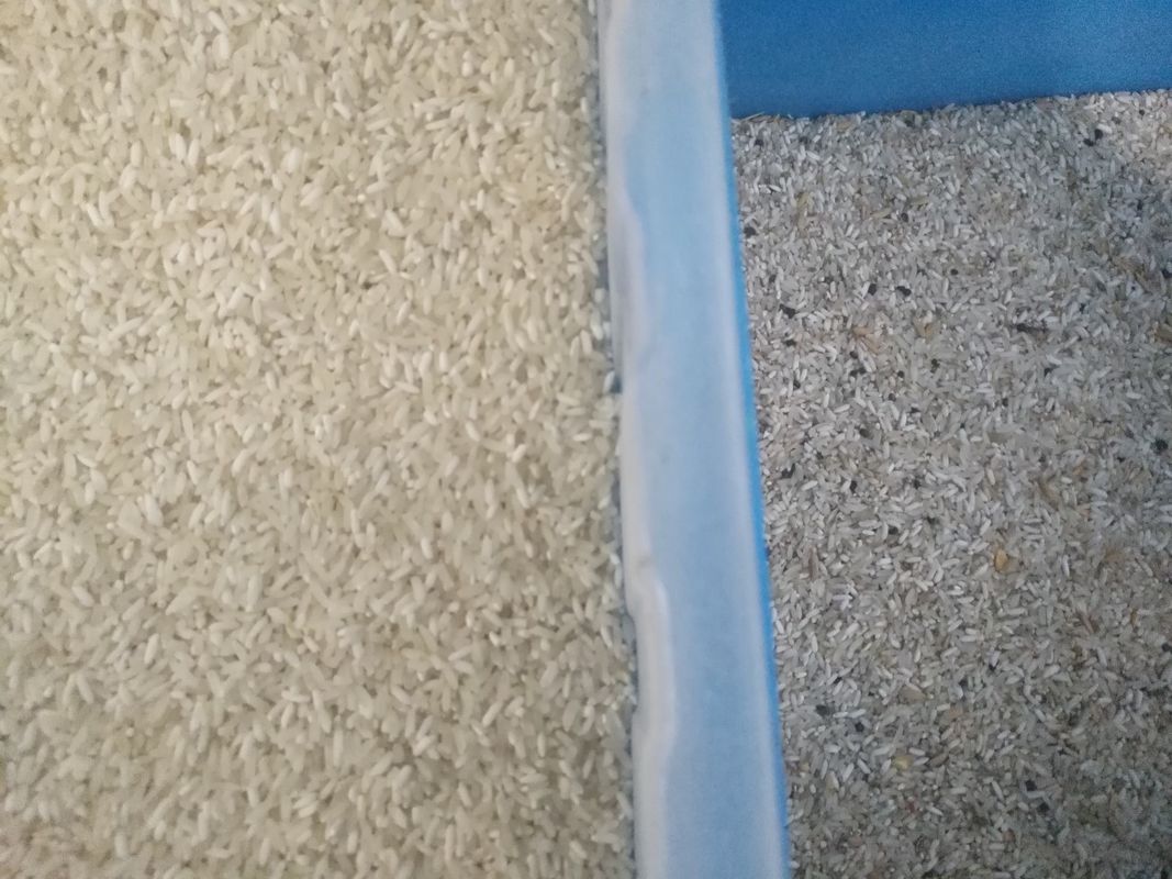 Multi Purpose CCD Automatic Rice Color Sorter Grains AI Sorting Machine