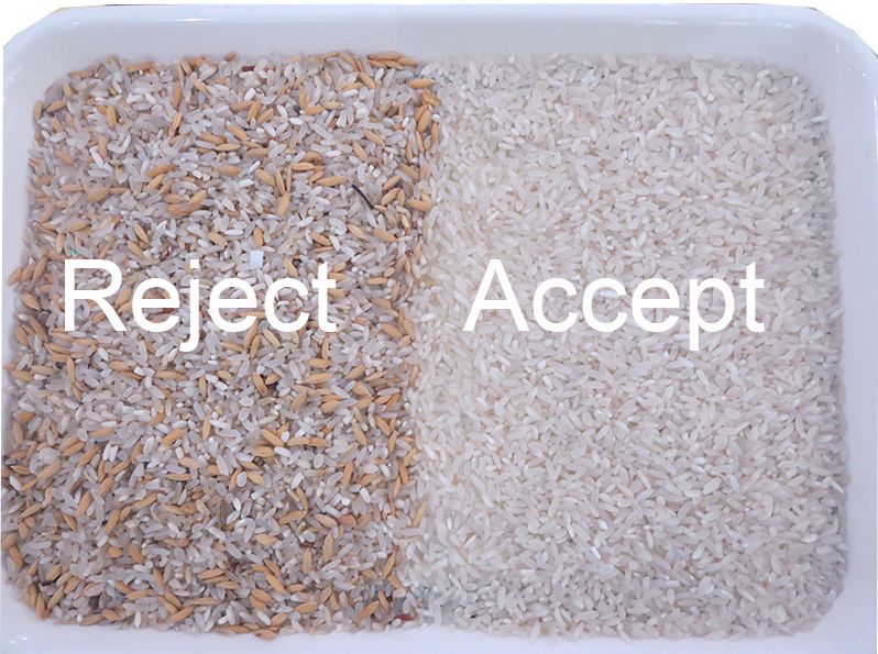 Multi Purpose CCD Automatic Rice Color Sorter Grains AI Sorting Machine