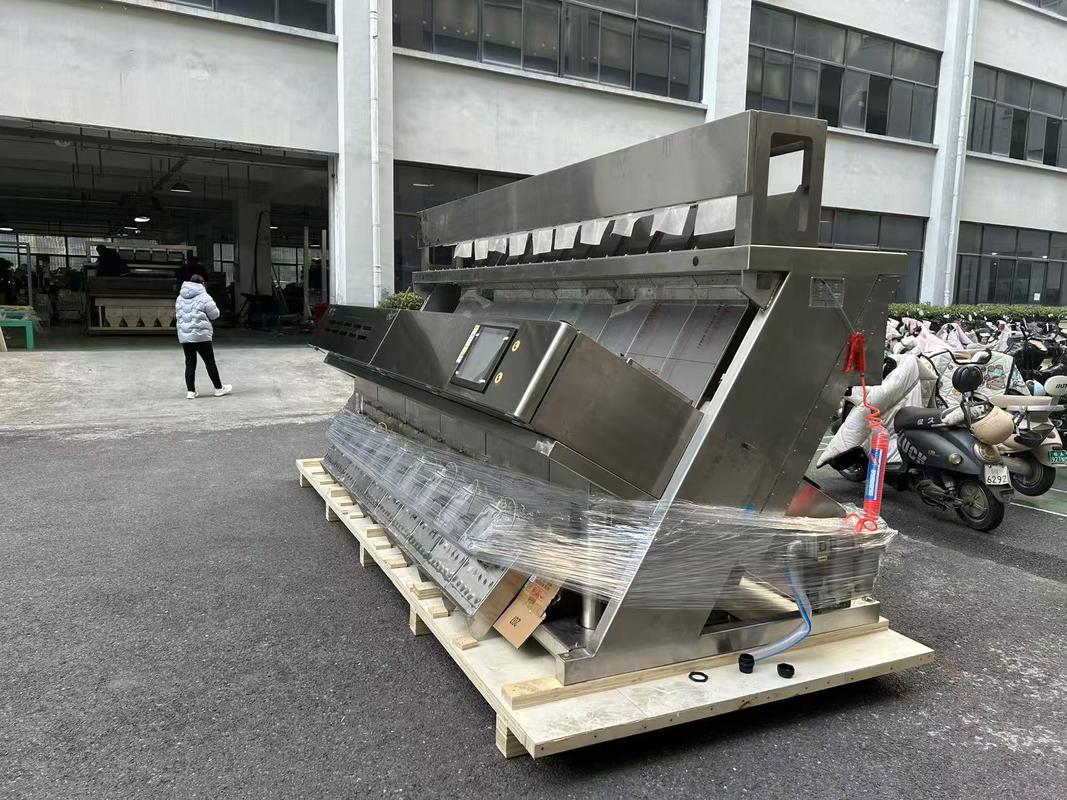 Large Output 304ss 316 Stainless Steel Intelligent Color Sorter Machine for Salt