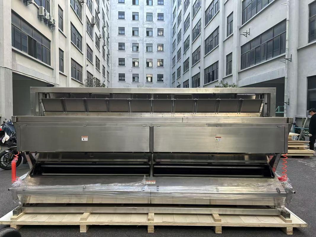 Large Output 304ss 316 Stainless Steel Intelligent Color Sorter Machine for Salt
