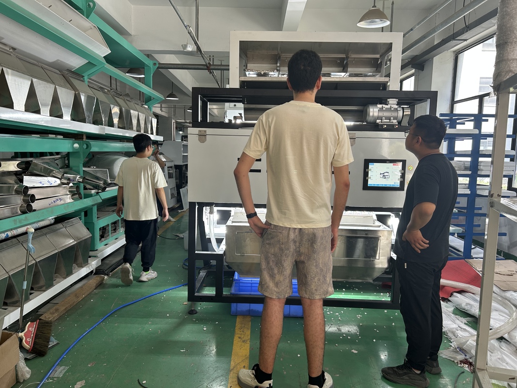 Optical WYDB4 Soapberry Color Sorting Machine for Soup Pods Color Separator Machine With High Sorting Capacity