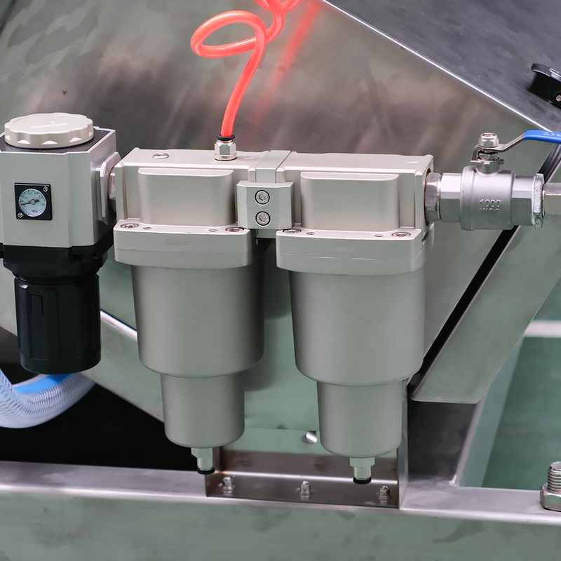 CCD Color Sorter for Peanuts Almonds Walnuts Intelligent Color Sorting Machine With High Accuracy