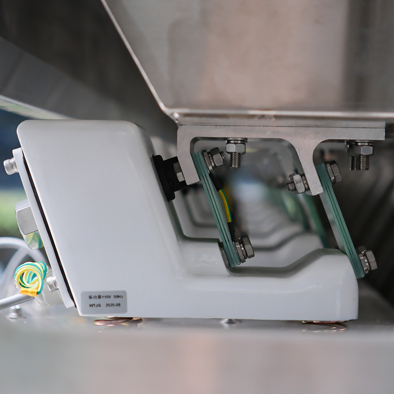 CCD Color Sorter for Peanuts Almonds Walnuts Intelligent Color Sorting Machine With High Accuracy