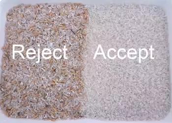 Cashew Nuts Separating Machine Beans Color Sorter Machine Remove Bad Mouldy Coffee Beans Sorter High Accuracy