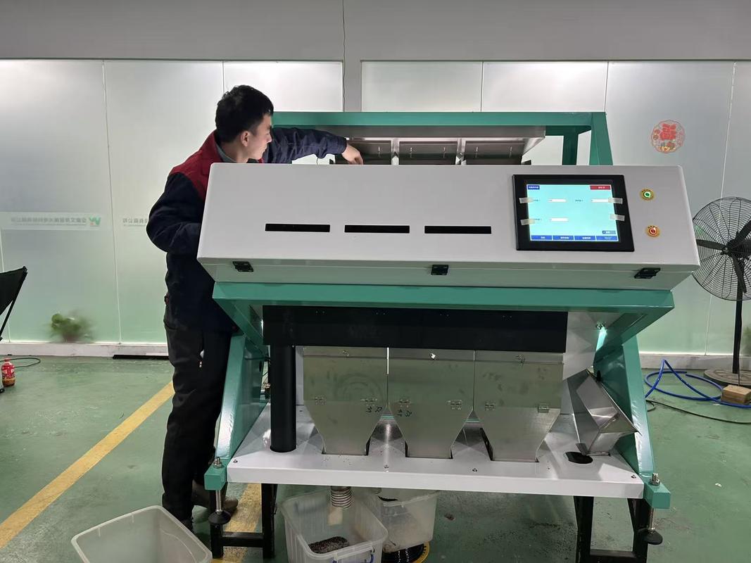 Wenyao High Capacity Maize Wheat Horse Bean Broad Bean Color Picker Colour Sorter Machine