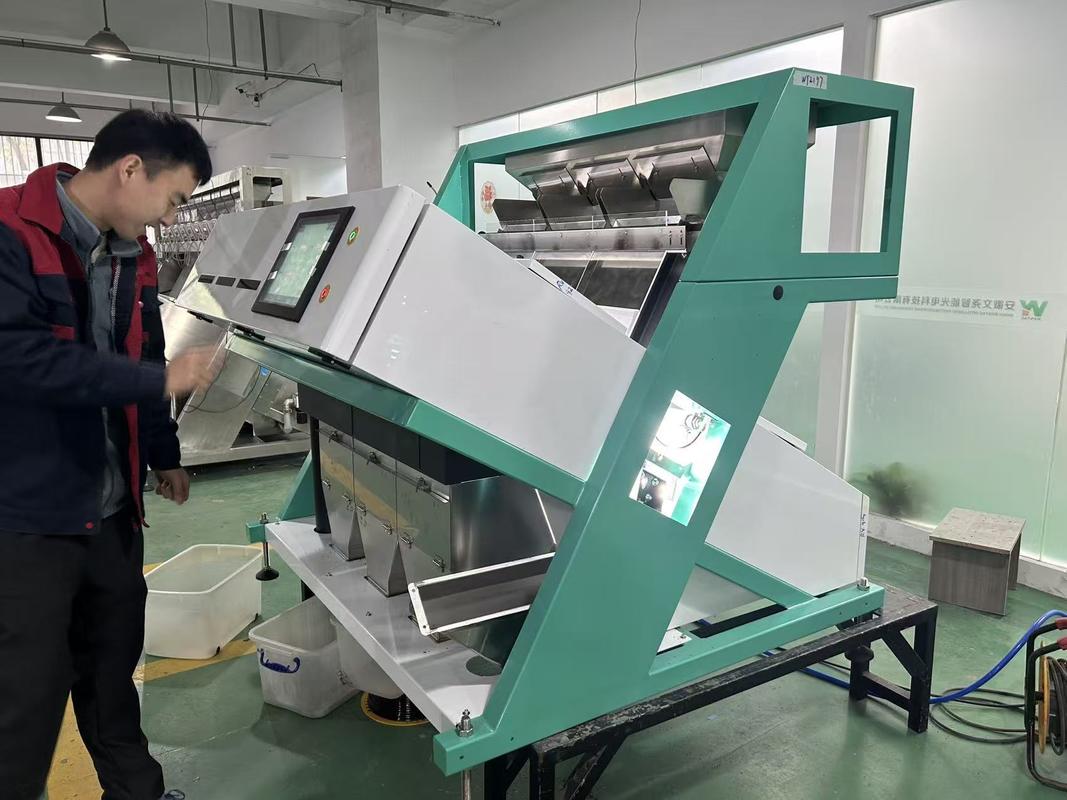Wenyao High Capacity Maize Wheat Horse Bean Broad Bean Color Picker Colour Sorter Machine