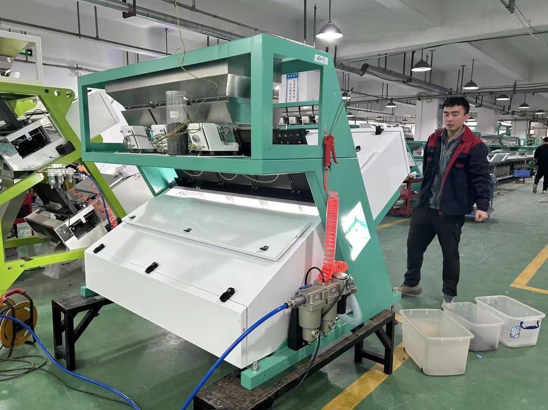 Wenyao High Capacity Maize Wheat Horse Bean Broad Bean Color Picker Colour Sorter Machine