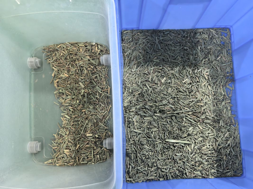 WENYAO CCD Spice Color Sorter Optical Lemongrass Color Sorting Machine with Factory Price