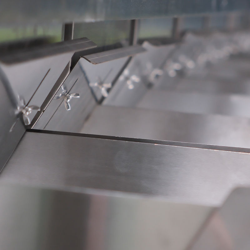 Multi-functional Nuts Walnuts Hazelnuts Cashew Nuts Peanuts  Color Sorter Peanut Hazelnut Color Separating Machine 