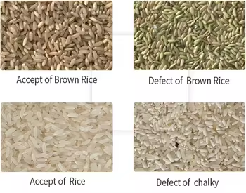Yellow Milllet Parboiled Rice Color Sorting Machine Muti Chutes  Color Sorter  Wheat Color Sorter
