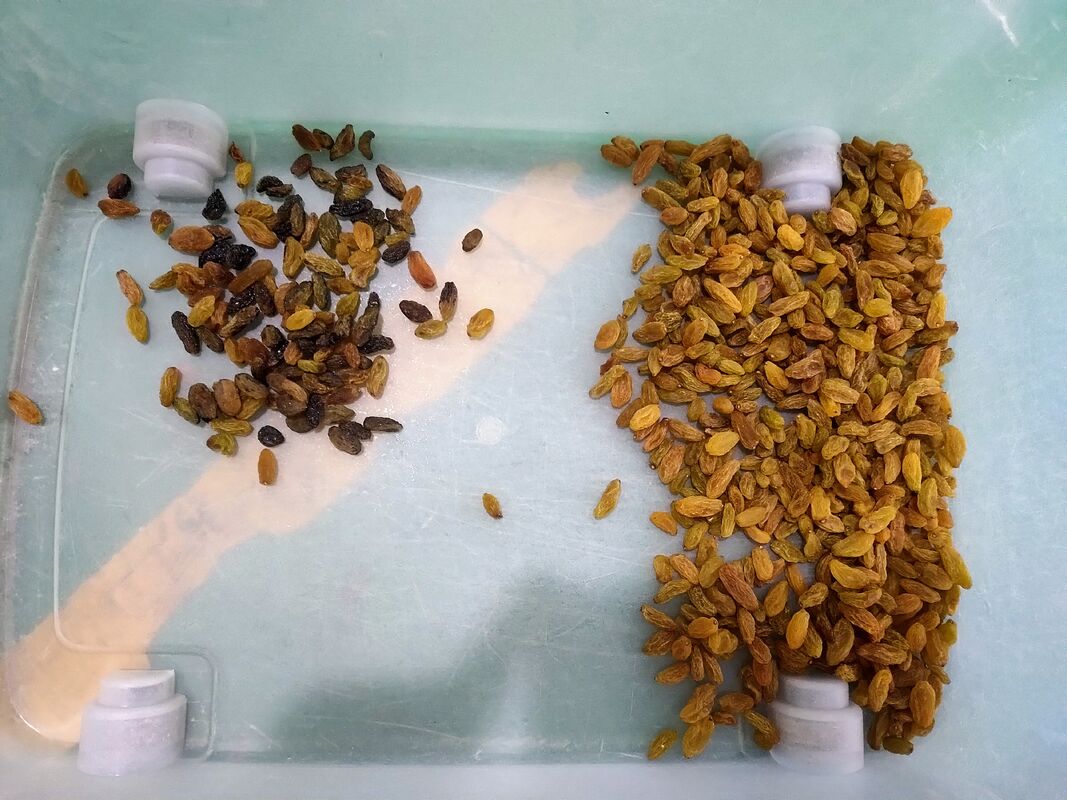 Wenyao 5 Chute Top Quality Color Sorter Fast Delivery Large Capacity Nut Raisin Color Sorting Machine for Fresh and Dried Fruit