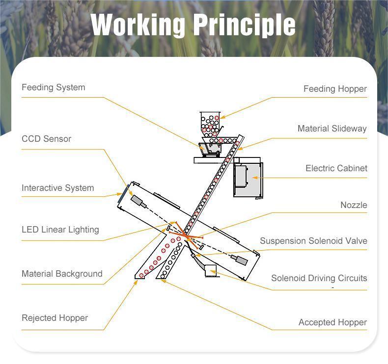 WENYAO Adjustable Parameters Fine Sorting for Mineral Industry Ore Color Sorter