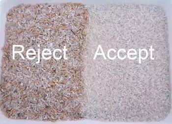 Yellow Milllet Parboiled  Wheat Color Sorting Machine Muti Chutes  Color Sorter Rice  Color Sorter