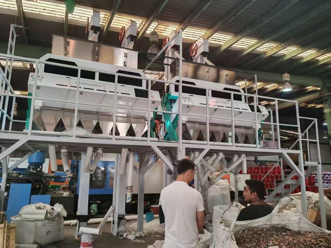 Wenyao High Technology Multi Function Wheat Buckwheat Barley Color Sorter Colour Sorting Machine