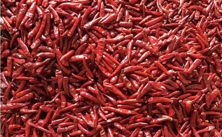 Wenyao Heavy Duty Intelligent Color Sorter Machine with RGB CCD Camera for Chili Pepper Garlic Sorting and 1000-1500 kg/h Output with Wifi Remote Control