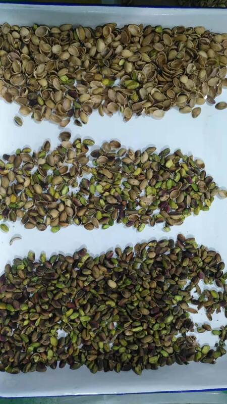 Wenyao Automatic Nut Sorter with TOSHIBA CCD Sensor, Stainless 304 Food Grade Hopper and Wifi Remote Control for High Efficiency Nut Sorting