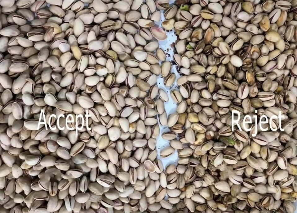 Wenyao Automatic Nut Sorter with TOSHIBA CCD Sensor, Stainless 304 Food Grade Hopper and Wifi Remote Control for High Efficiency Nut Sorting