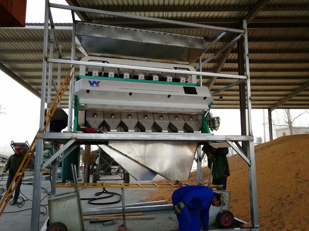 Wenyao 7 Chute Intelligent CCD Camera Color Sorter for Crop Grain Optical Sorting Maize Corn Color Sorter Machine for Grain Nut Rice