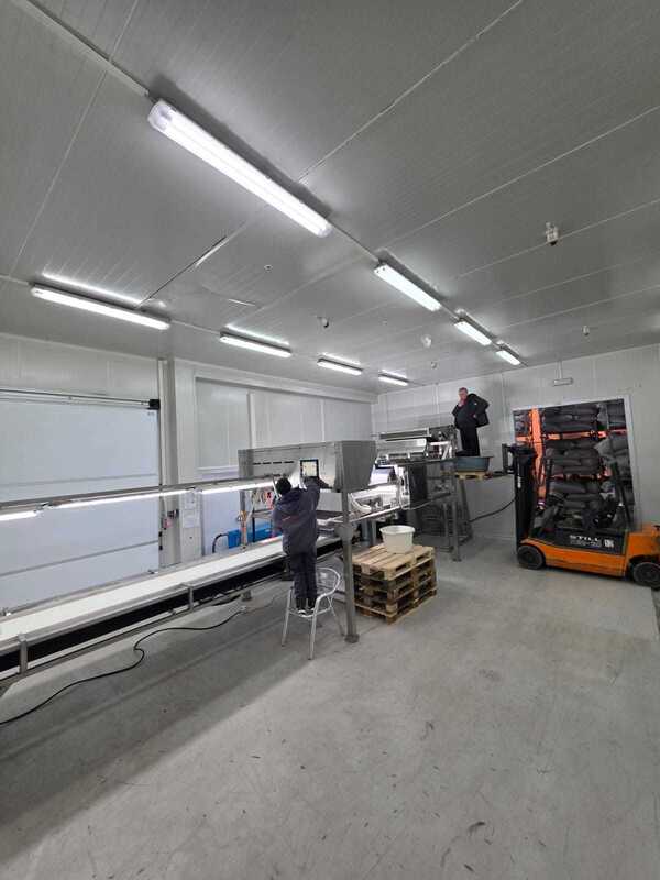 1200mm Belt Width High Capacity Juniper Color Sorter with 99.99% Precision