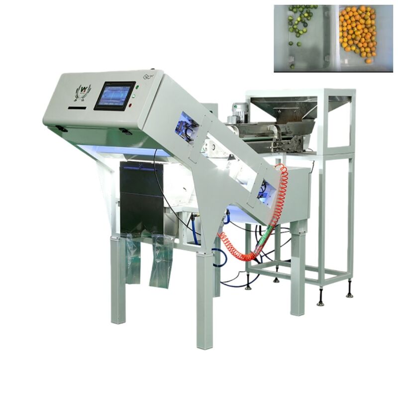 WENYAO 2025 New Model Belt Optical Color Sorter for Coffee Cherry and Kumquat
