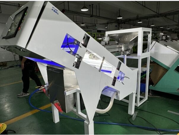 WENYAO 2025 New Model Belt Optical Color Sorter for Coffee Cherry and Kumquat