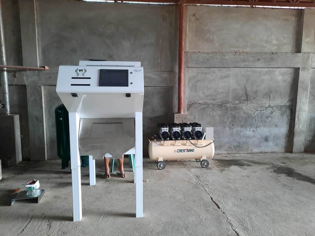 Wenyao Professional Nuts Separation Machine Cashew Nut Walnut Areca Nut Color Sorter Machine with WIFI Remote Control