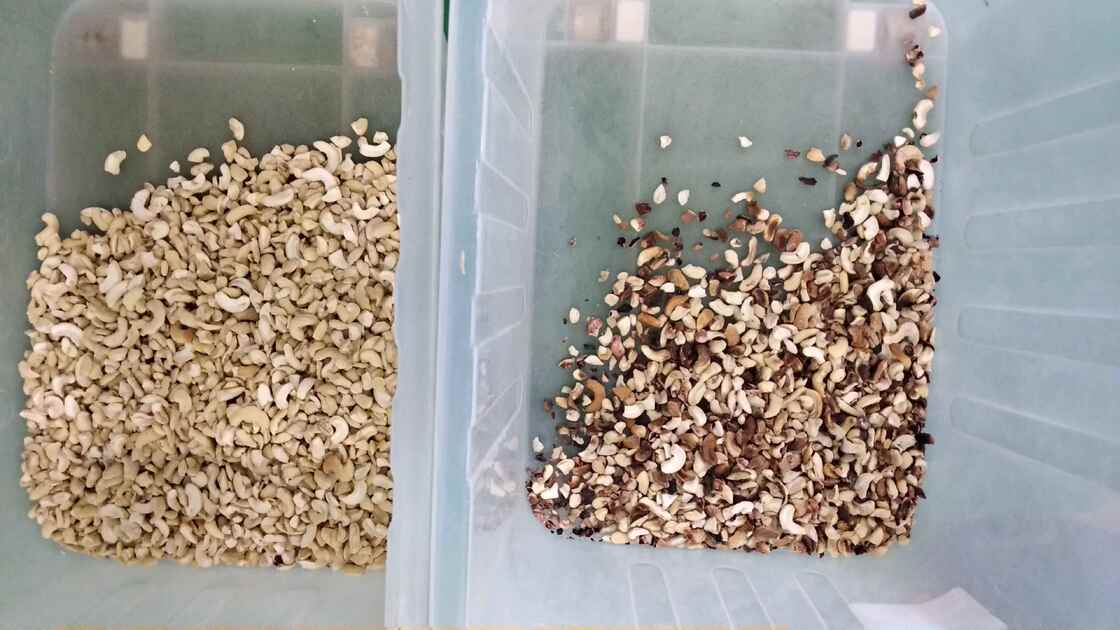 Wenyao Professional Nuts Separation Machine Cashew Nut Walnut Areca Nut Color Sorter Machine with WIFI Remote Control