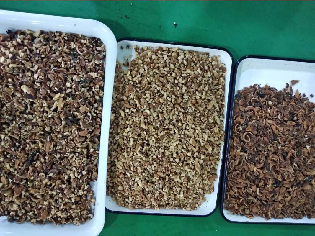 Wenyao Professional Nuts Separation Machine Cashew Nut Walnut Areca Nut Color Sorter Machine with WIFI Remote Control