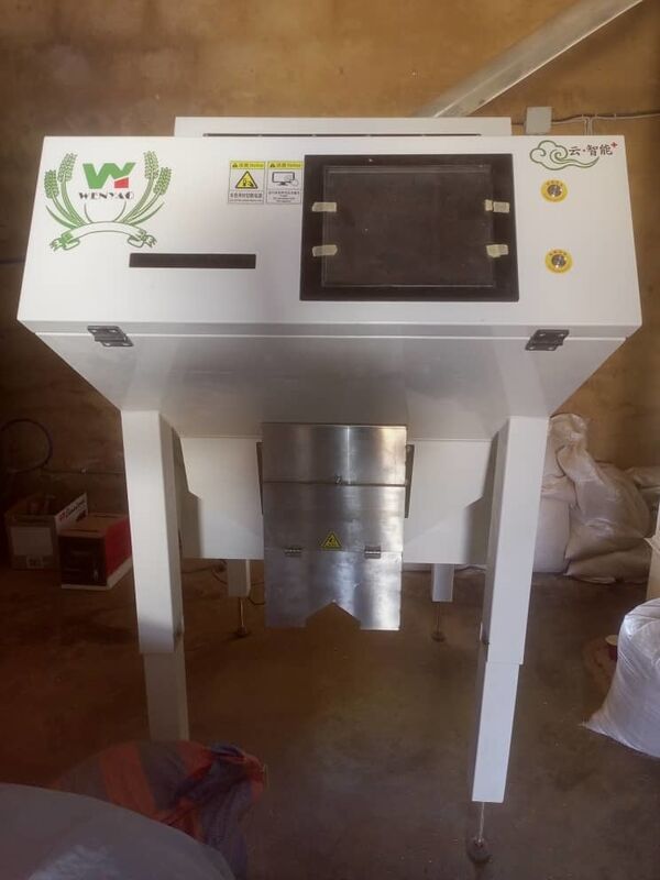 Wenyao Hot Selling Optical Color Sorter  Coffee Beans Color Sorting Machine