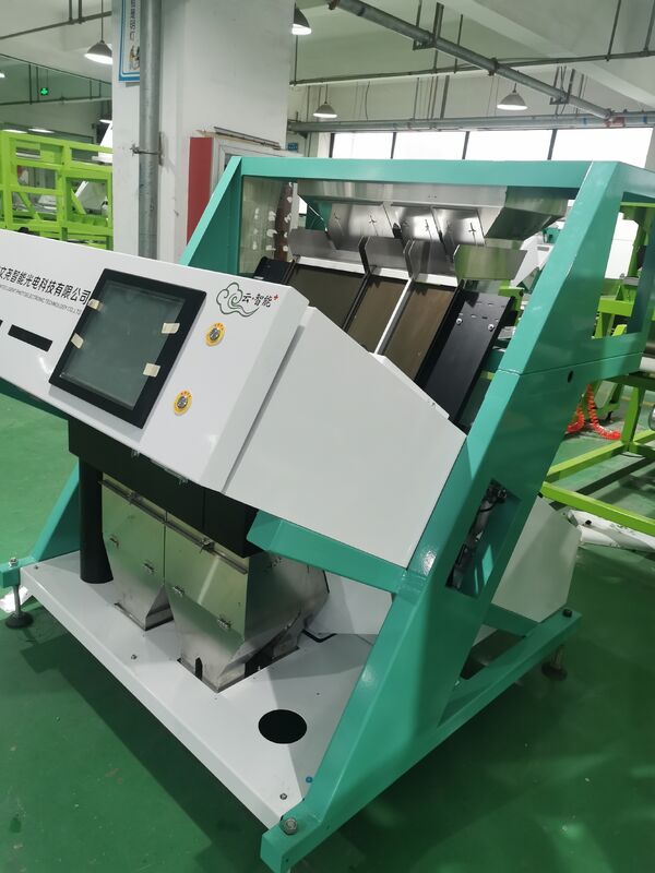 Wenyao Optical CCD Candle Nut  Color Sorter Machine Anhui Color Sorter Grain Color Sorter Machine
