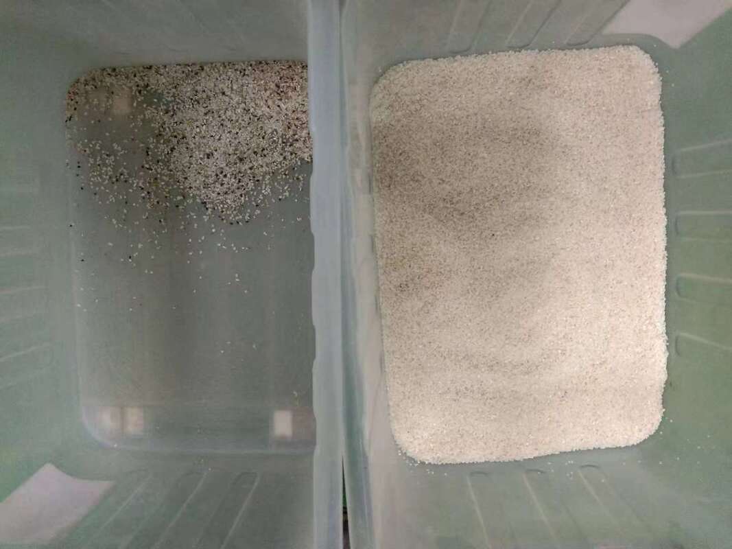 Wenyao High Sorting Accuracy Rice Color Sorter Machine Optical Sorting Machine for Grain Cleaning with Air Compressor Air Tank