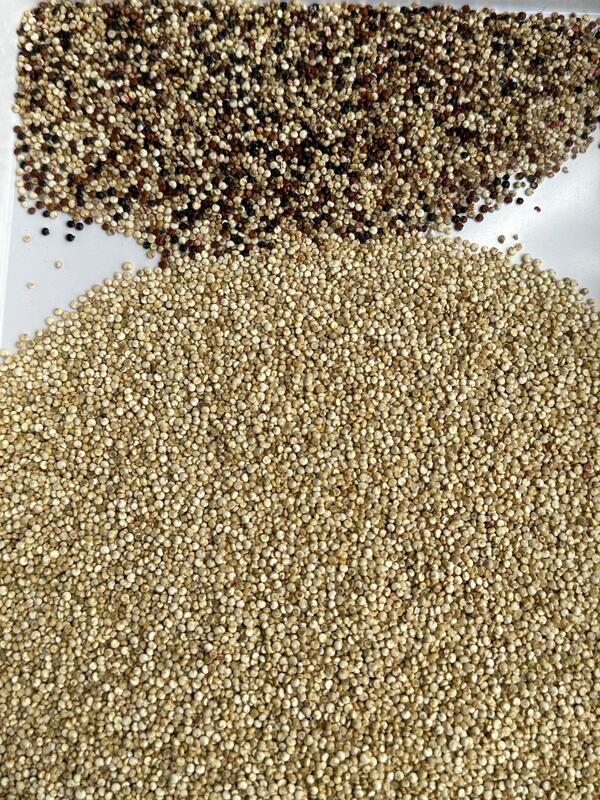 WENYAO CCD High Speed Grain Color Sorter For Coffee Beans And Crops Multi Grain Sorting Machine