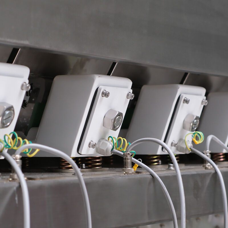 CCD Color Sorter with CCD Cameras for Almonds Cashew Nuts Peanuts 0.3-0.5 PTH Capacity and 2 Years After-service