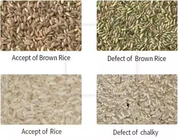 High Accuracy Color Sorter For  Grain Separator Machine Rice Wheat Corn Kernels Shape Separator