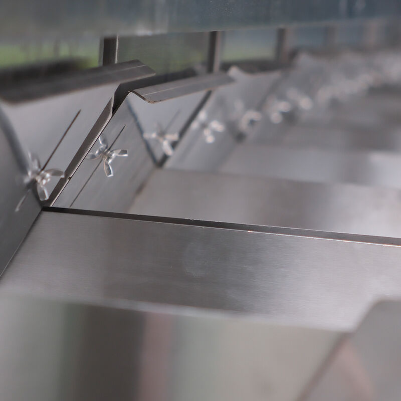 High Accuracy Beans Color Sorter with 3-8TPH Output and 99.99% Sorting Accuracy for Lentil Beans and Soybeans