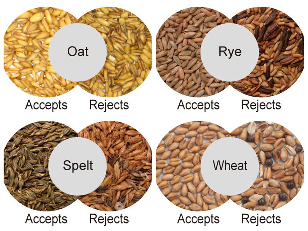 WENYAO Professional Seed Color Sorter with ≥99.98% Sorting Accuracy Toshiba CCD Camera and 220V/50Hz/60Hz Voltage