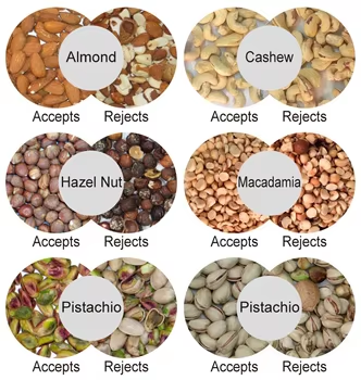 WENYAO Nuts Color Sorter with CCD Cameras 0.3-0.5 PTH Capacity and 2 Years After-service for Seed Grain Beans Wheat