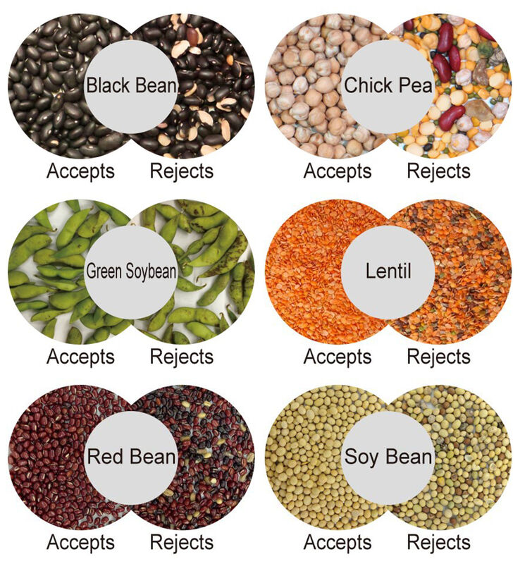 WENYAO Professional Japan for CCD Sensor Grain Sorting Machine with 2400-4000kg Capacity 0.999 Accuracy for Rice/Bean/Grain