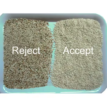 Bestselling Color Sorter For  Rice Wheat Separating Machinie Corn Kernels Grain Shape Separator