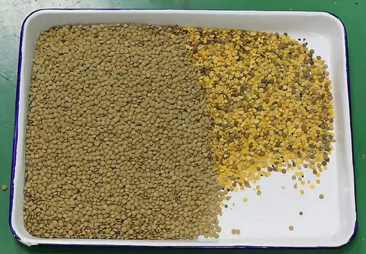 CE ISO Certified Automatic High Output Optical Color Sorter Black Beans Coffee Beans Lentils Color Sorting Machine for Sale 2026