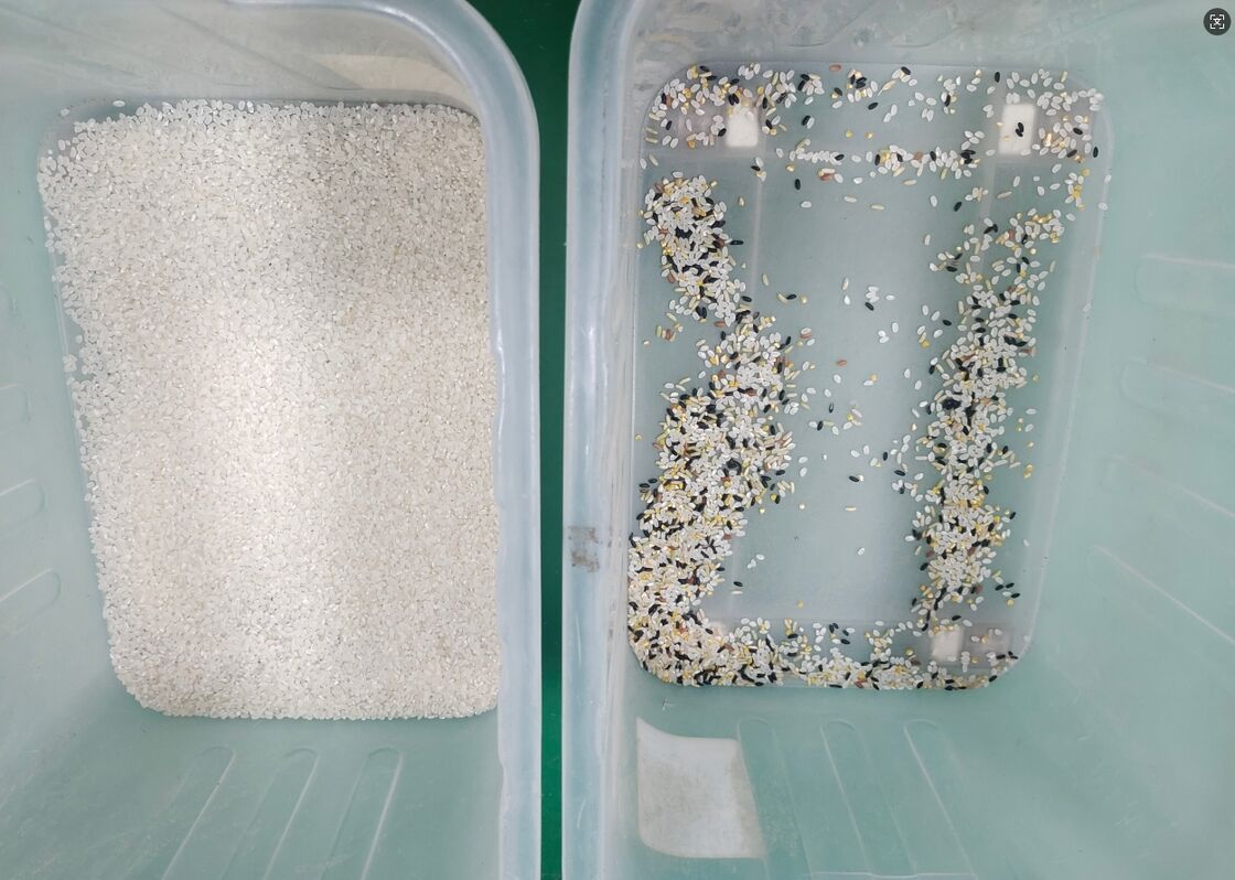 China Automatic High Technology Rice Optical Color Sorter Sesame Corn Processing Color Sorting Machine