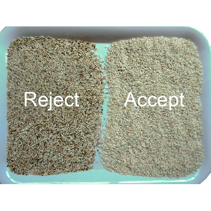 10 t/h Capacity Stainless Steel Rice Color Sorter with High Sorting Accuracy for Agriculture Rice Processing