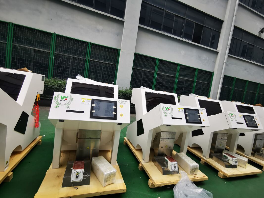 Wenyao Color Sorter for Pumpkin Cashew Peanut Almond  Shape Sorter Optical Sorting Machine for Nuts Seeds China Cleaning Equipment