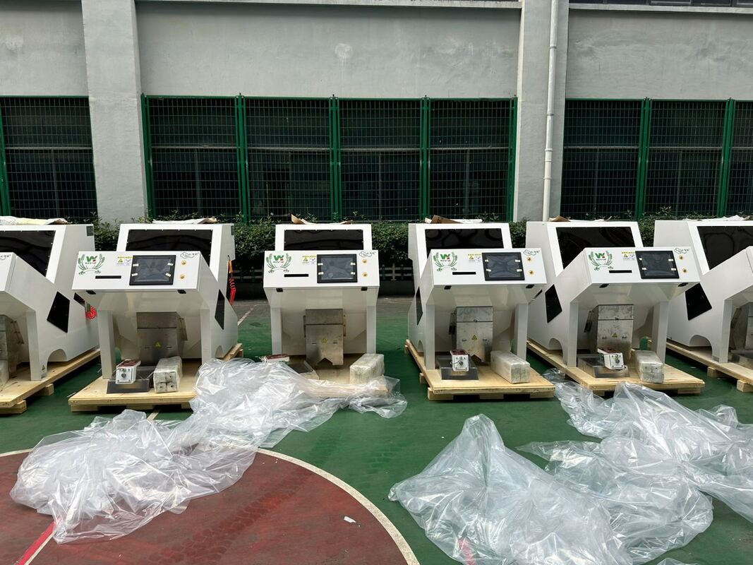 Wenyao Color Sorter for Pumpkin Cashew Peanut Almond  Shape Sorter Optical Sorting Machine for Nuts Seeds China Cleaning Equipment
